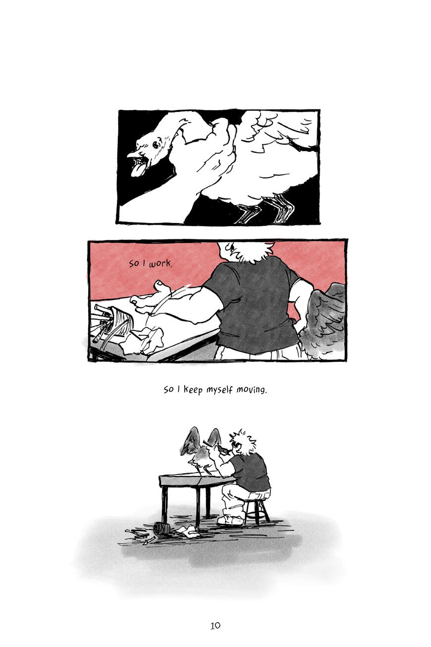 PG10 PG10
