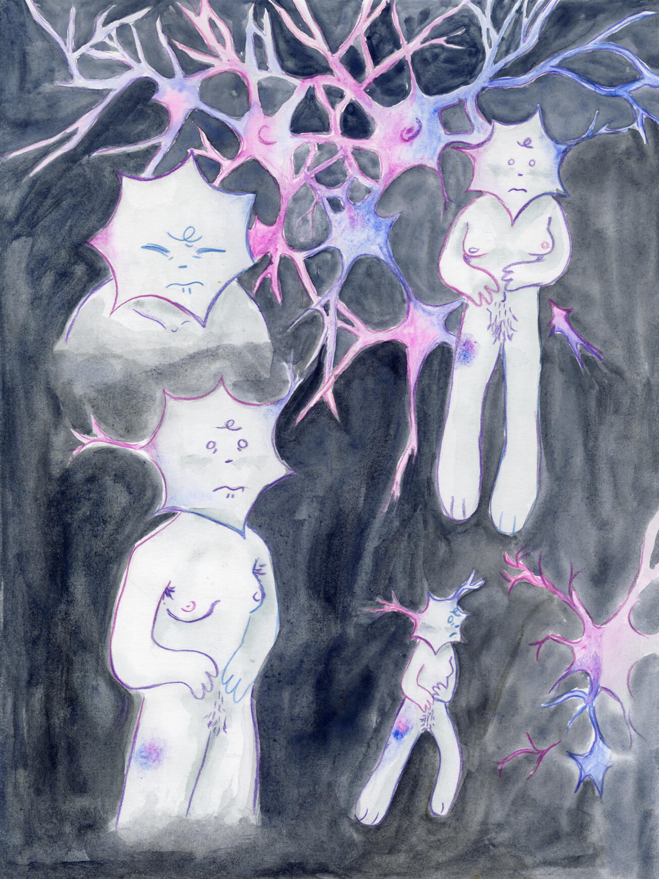 SNR4 SNR4